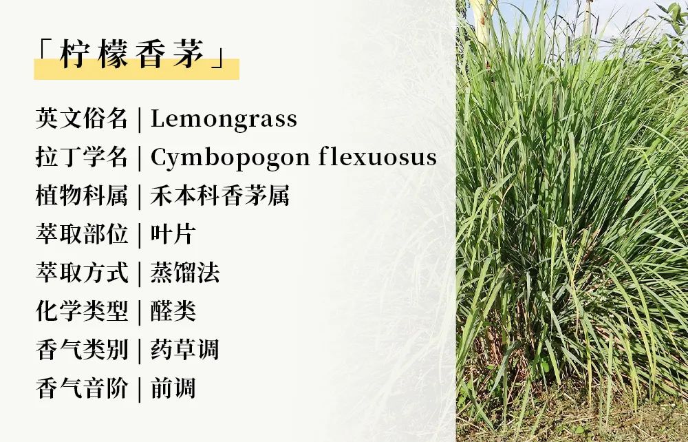 运动08.jpg