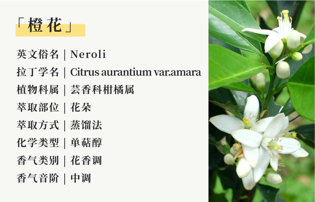 花香07.png
