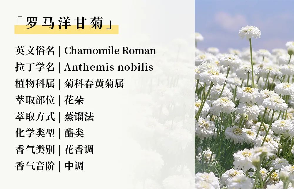 春季03.jpg