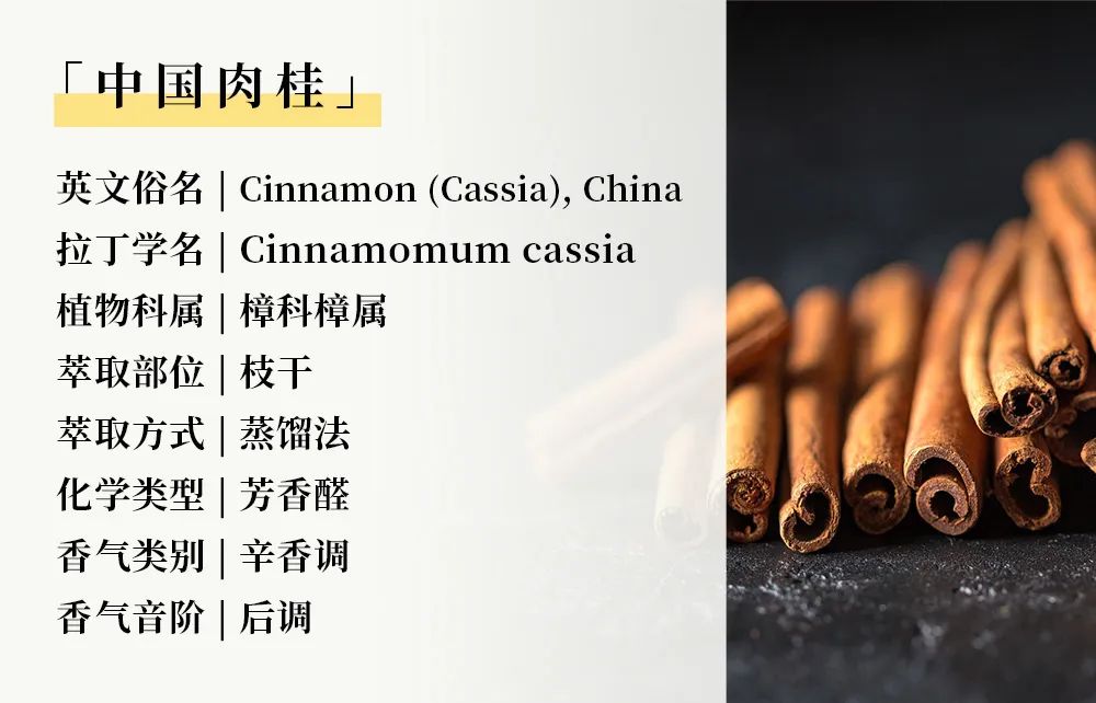 暖身精油09.jpg