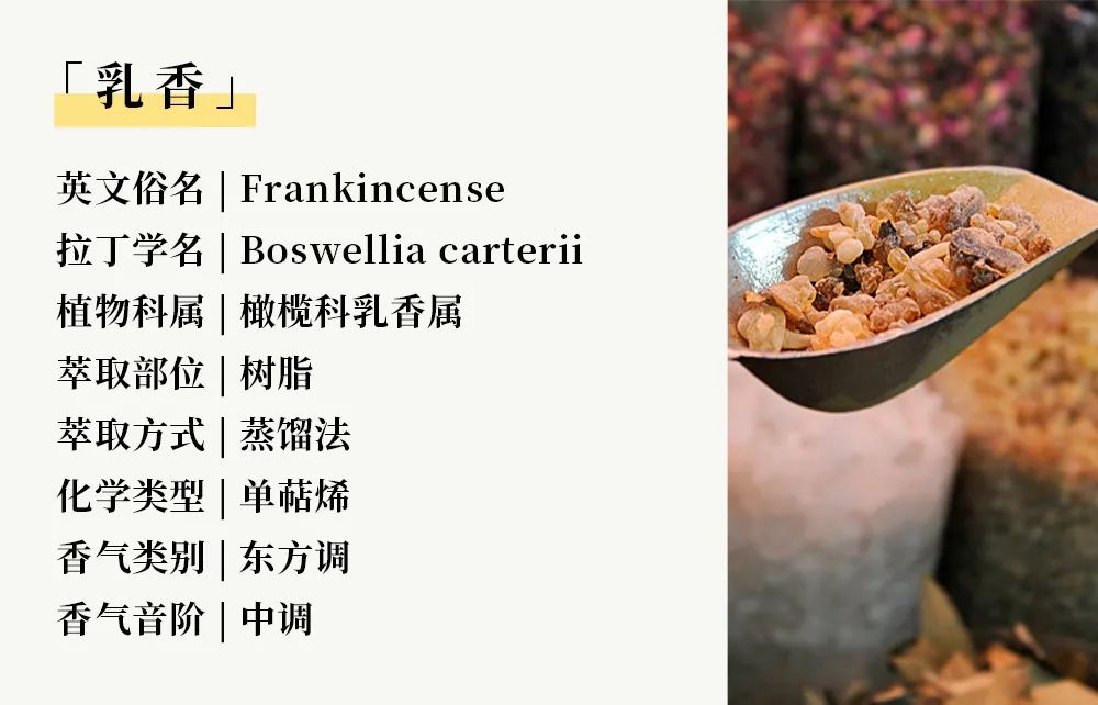 树脂03.jpg