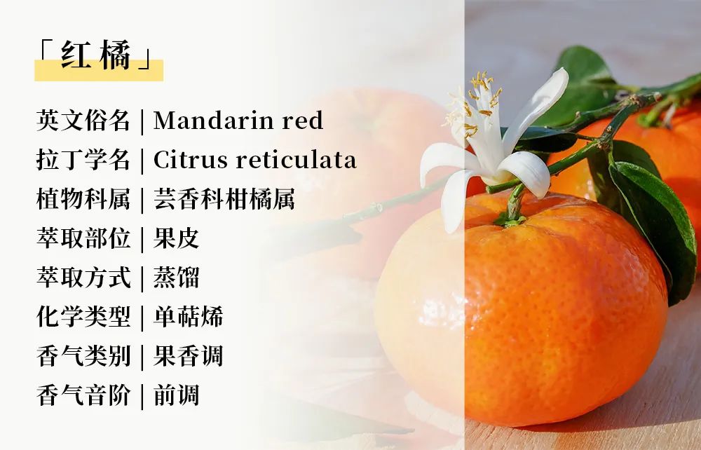 暖身精油03.jpg