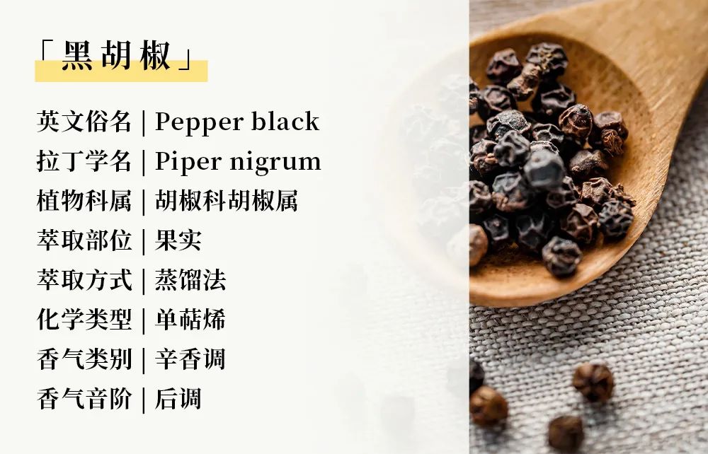 运动04.jpg