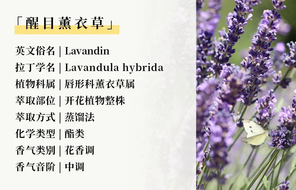 运动10.jpg