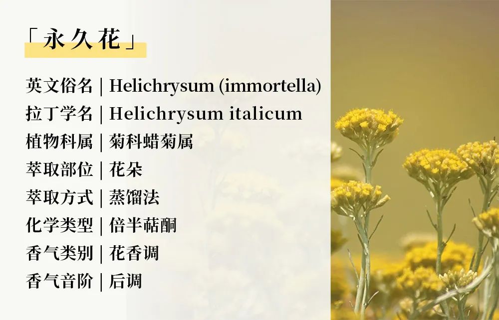 运动12.jpg