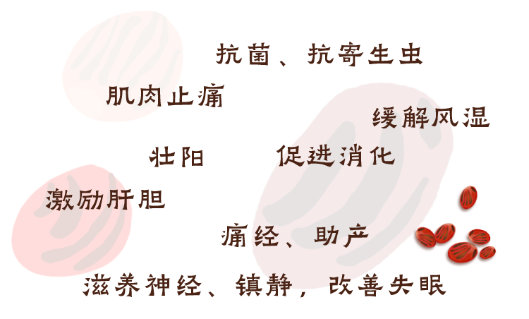 肉豆蔻12.png